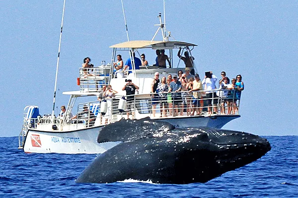 Aqua Adventures Molokini Snorkel & Snuba Adventure