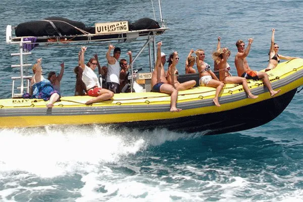 Deluxe Dolphin Adventure & Lanai Snorkel by Ultimate Whale Watch (6Hrs)