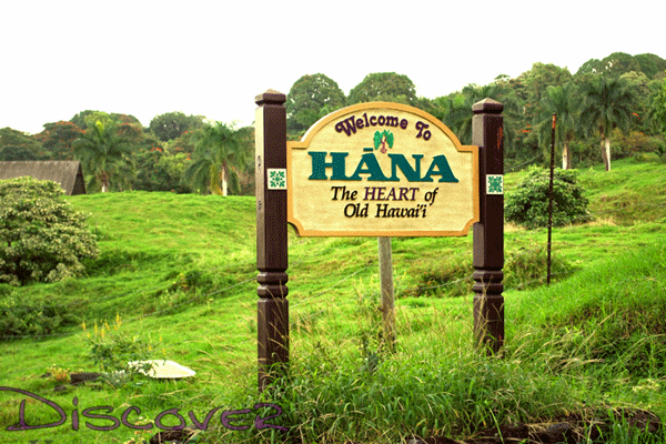 aloha sunshine tours road to hana